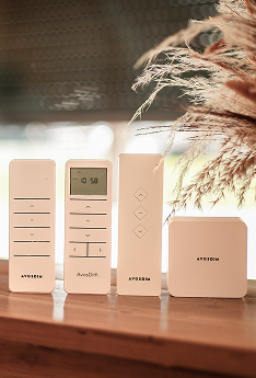 Motorisierung