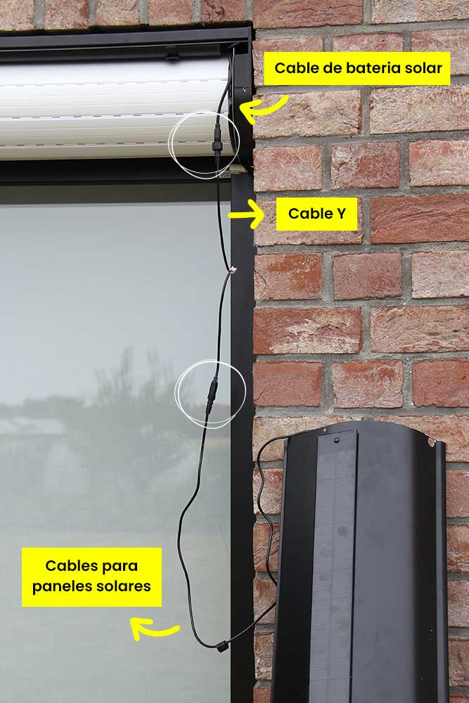 schema cable y en situation