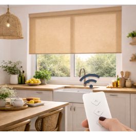 Moteur de stores à chaîne électrique - CIKONIELF - WIFI - Contrôle