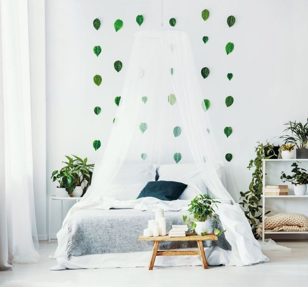 Moustiquaire de lit pour lit double pas chère